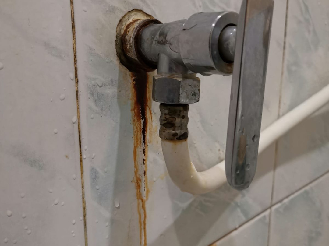 Jungle View Resort主图