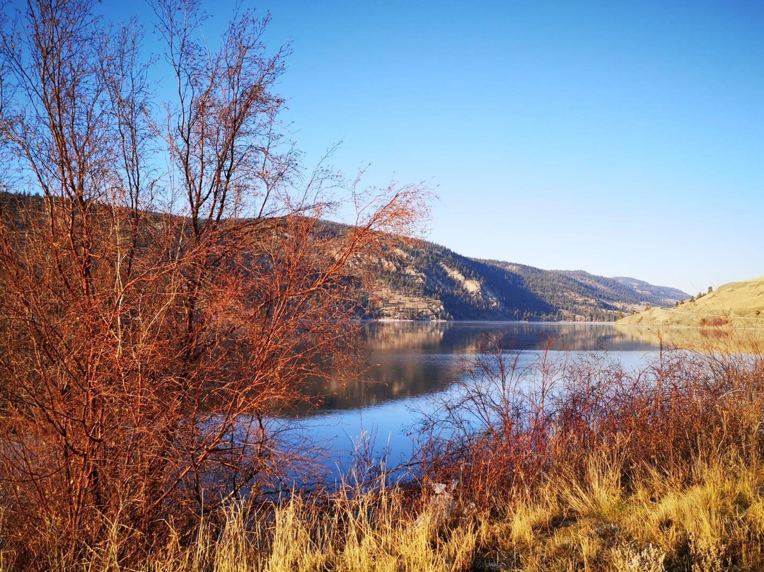 Beautiful Vancouver Explorer Tour & Shuttle-温哥华必去景点