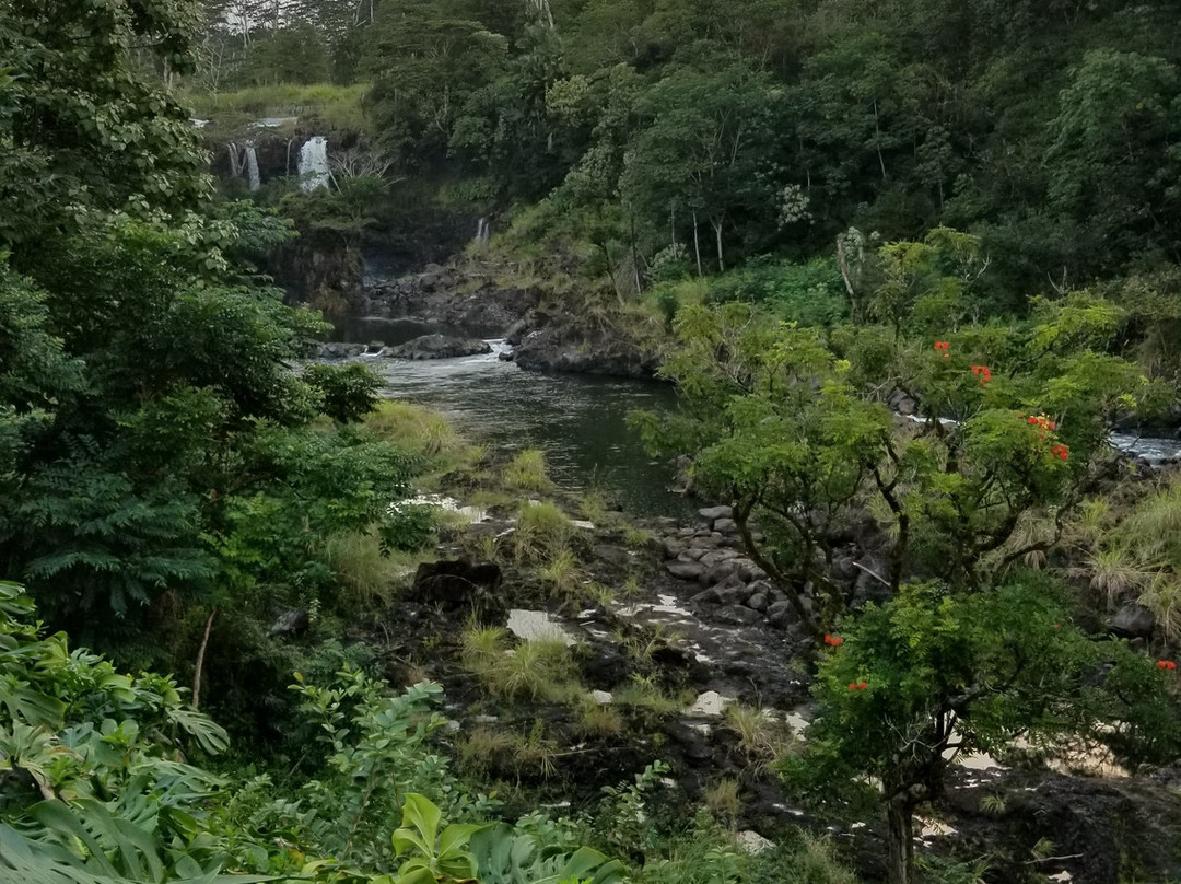 The Umauma Experience景点图片