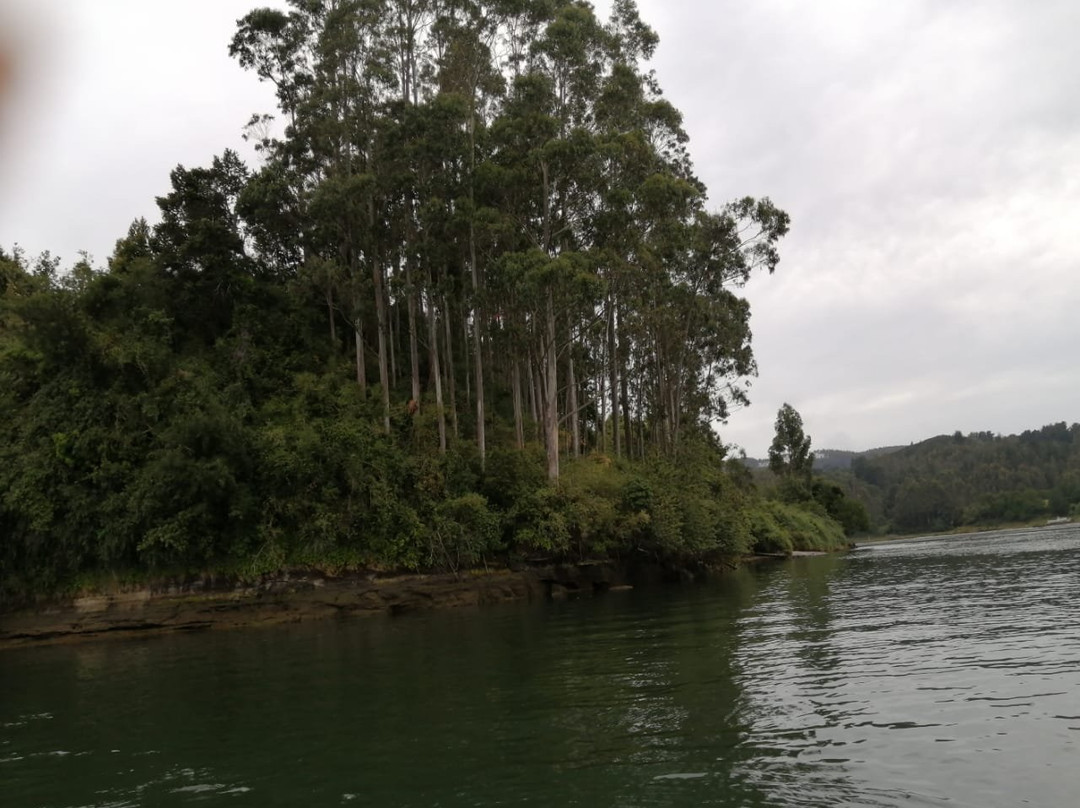 Isla del Rey景点图片