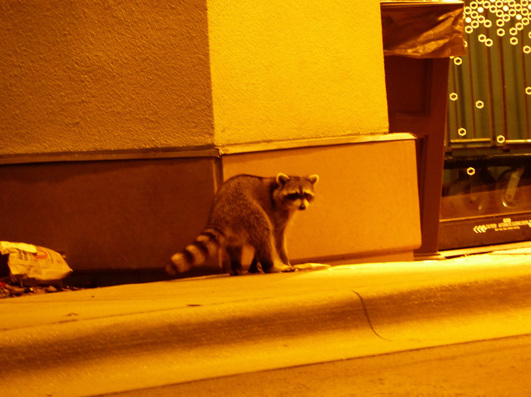 Hampton Inn & Suites Lake Mary at Colonial TownPark主图