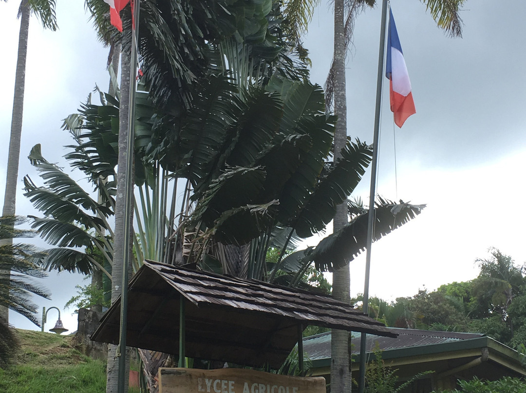Lycée Agricole Opunohu-莫雷阿岛必去景点