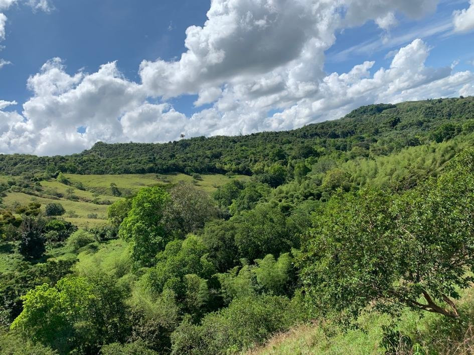 Cabalgatas El Carmelo-La Tebaida必去景点