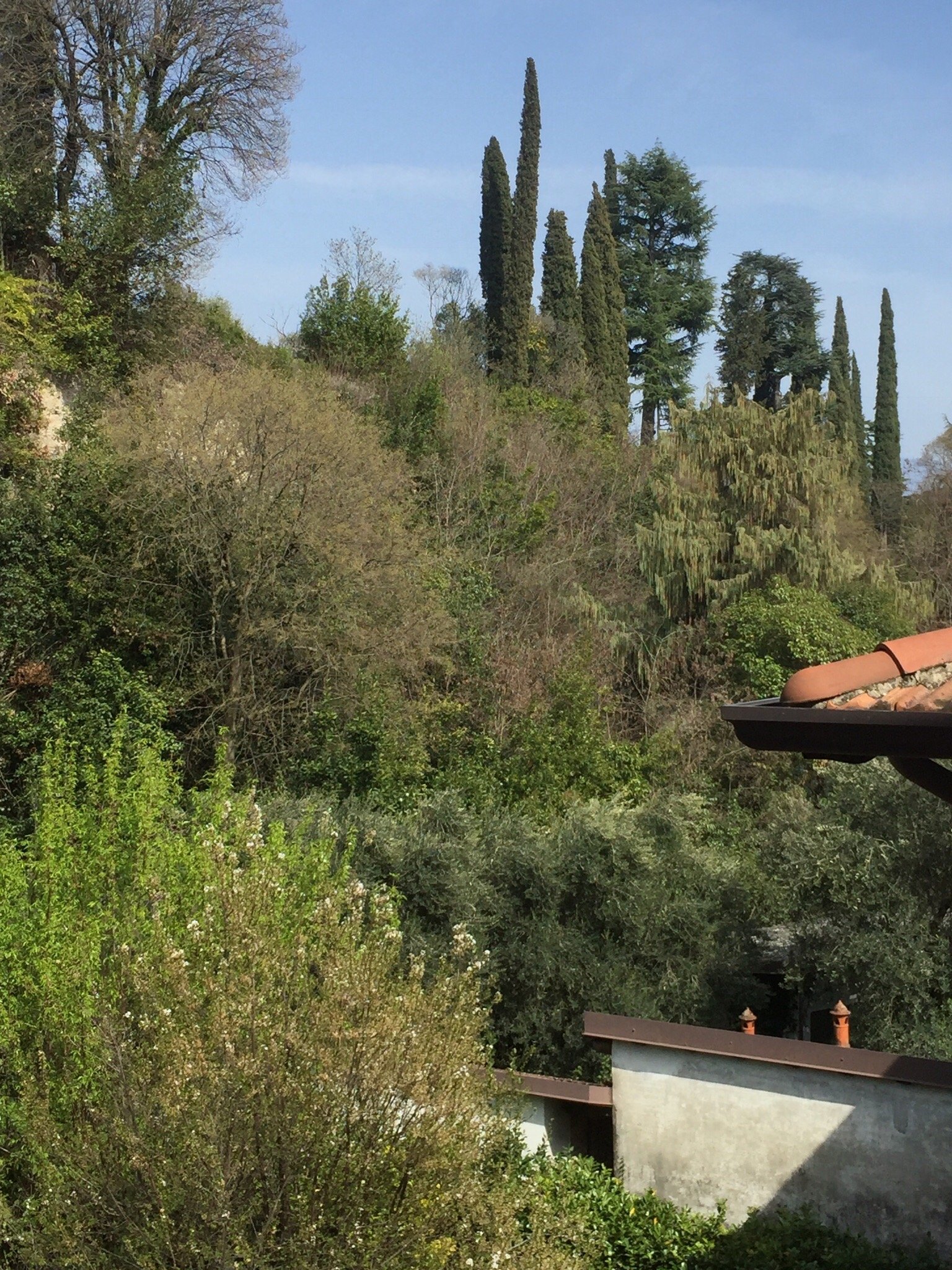 B&B il Vecchio Mulino Salo-官方