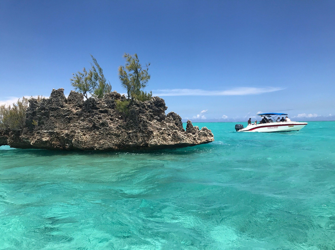 La Pirogue - Swim with the Dolphins-弗力克昂弗雷克必去景点