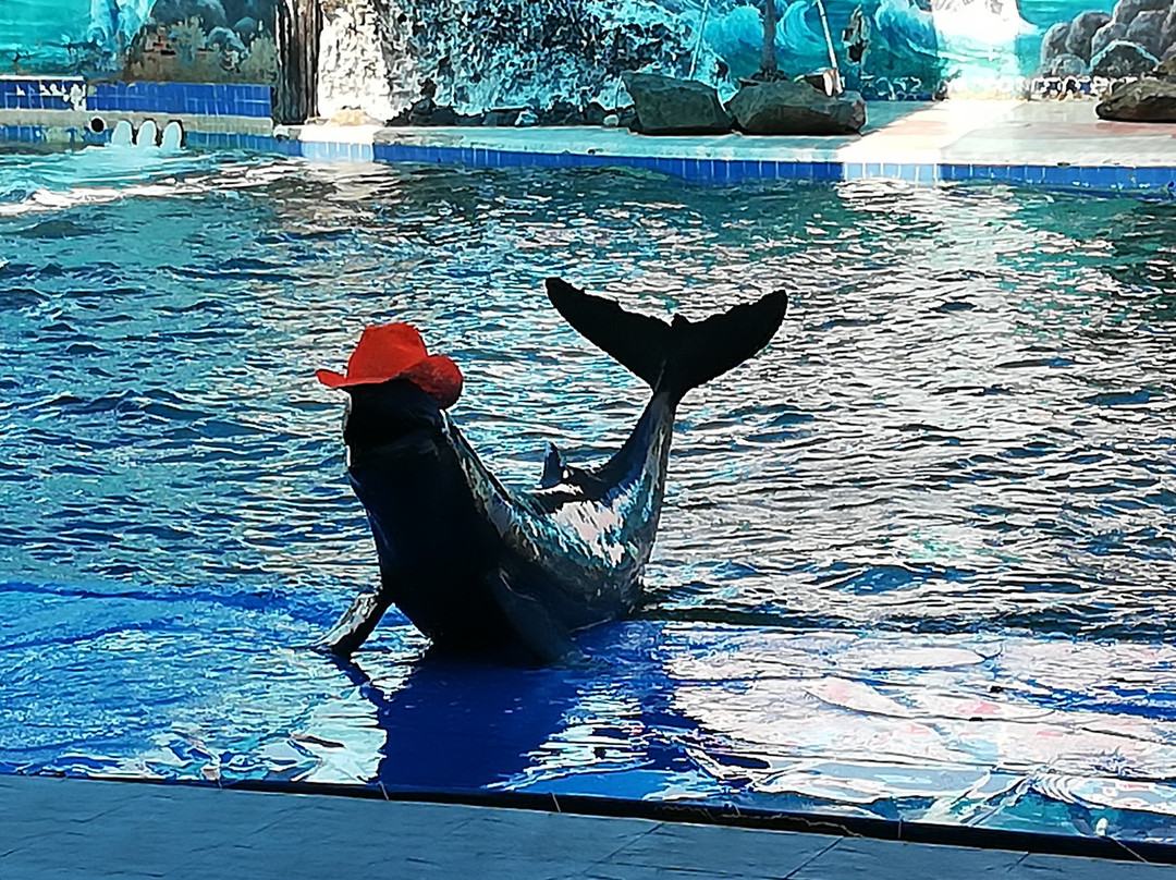 Oasis Sea World-廉信必去景点