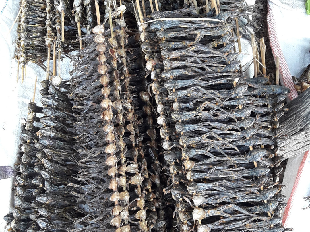 guide naywin Inle-Nyaungshwe必去景点