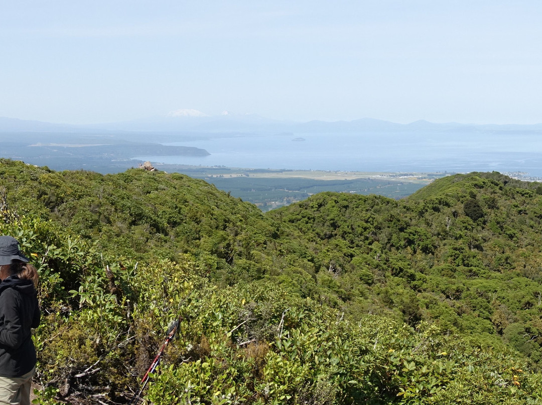 Mount Tauhara景点图片