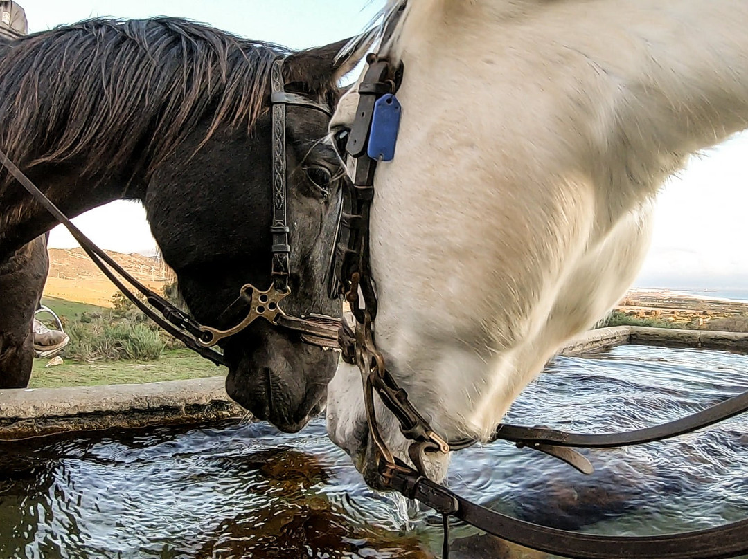 Aventura Ecuestre-塔里法必去景点