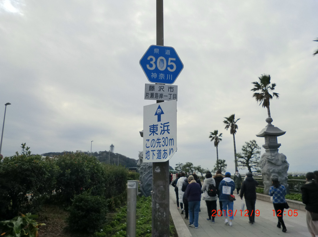 Katase Higashihama Beach-藤泽市必去景点