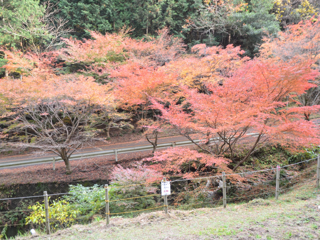 Ohnojo Castle Ruins - Mt. Shiojiyama景点图片