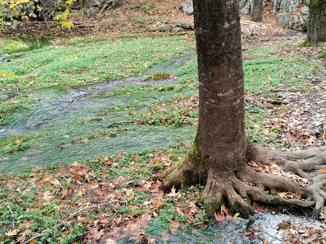 Planitero旅游攻略图片