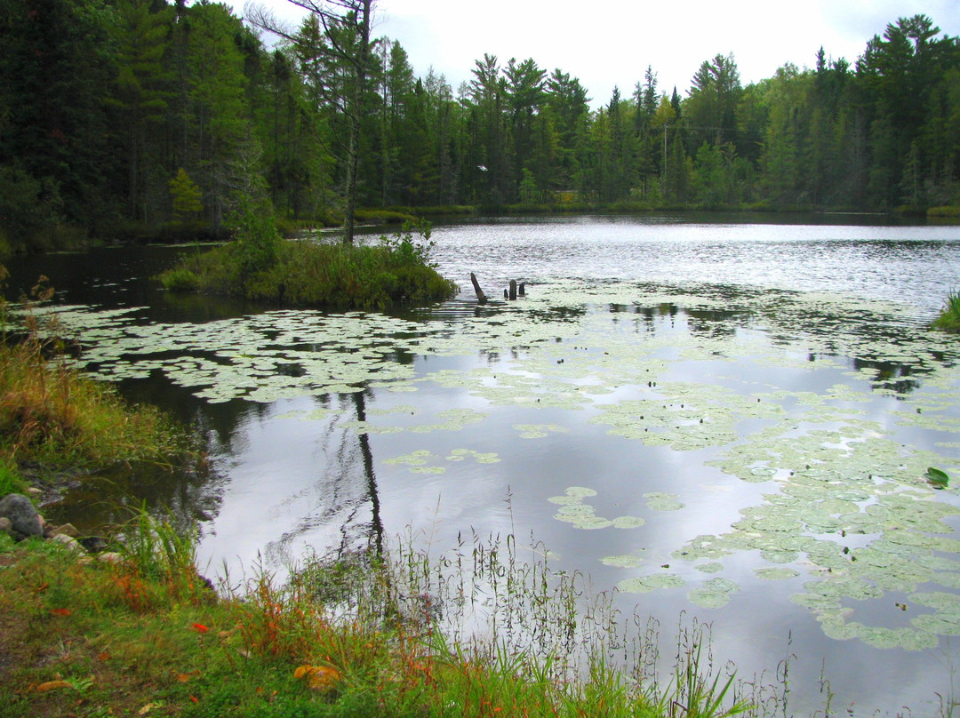 Lakewoods Resort主图