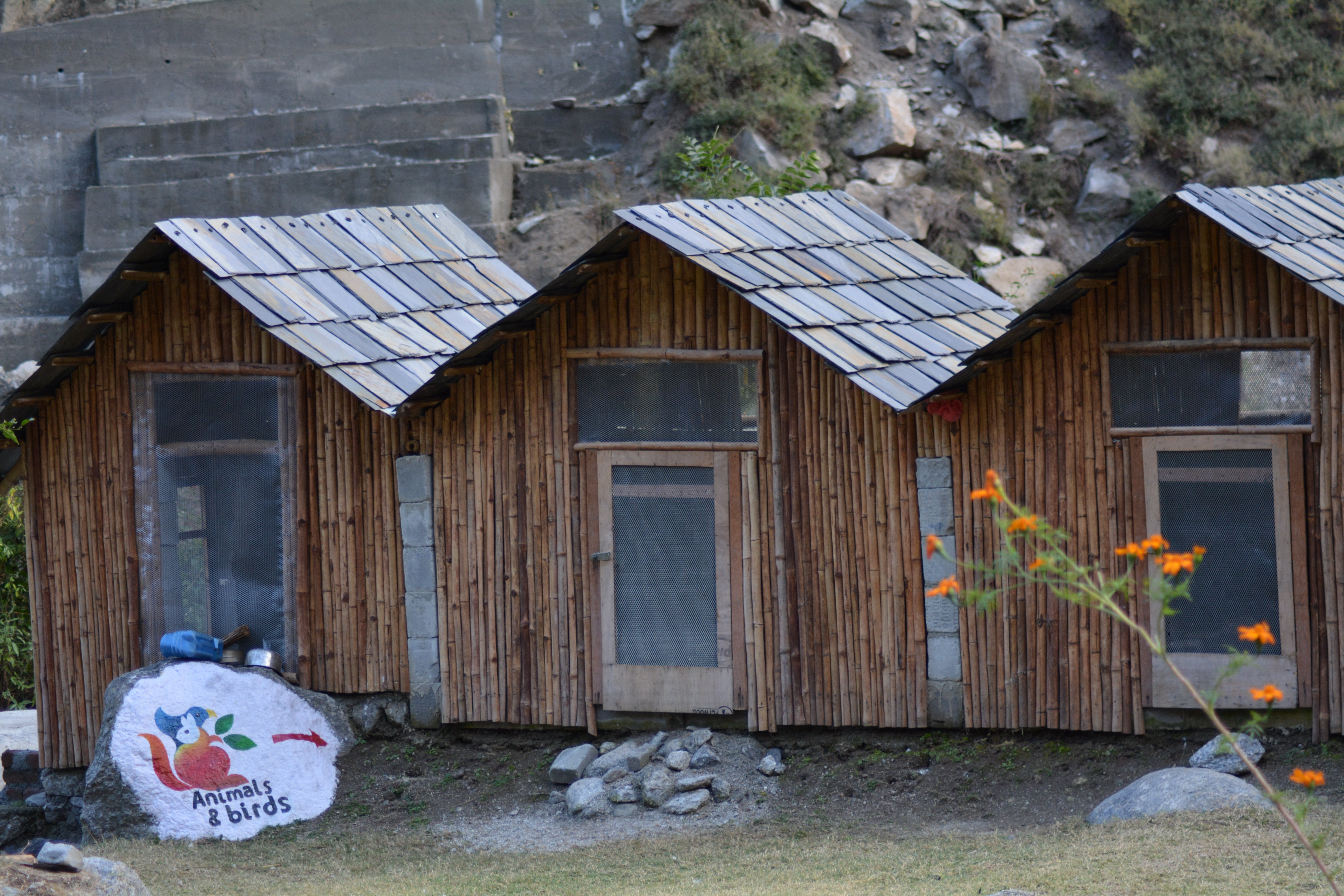 Vedic Vibes Resort-官方