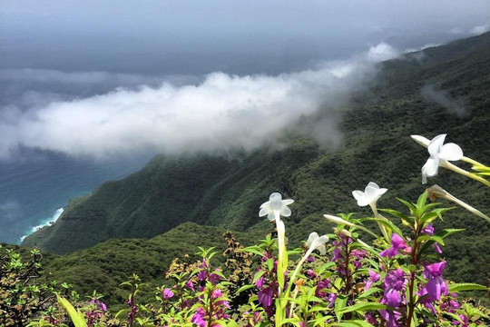 Raya Tour-塞拉莱必去景点