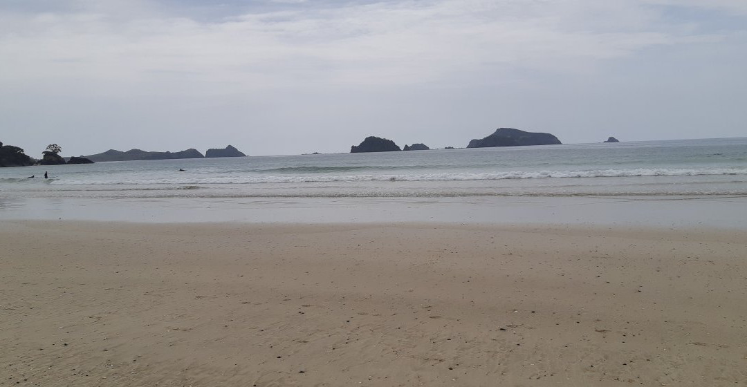 Matauri Bay Beach景点图片