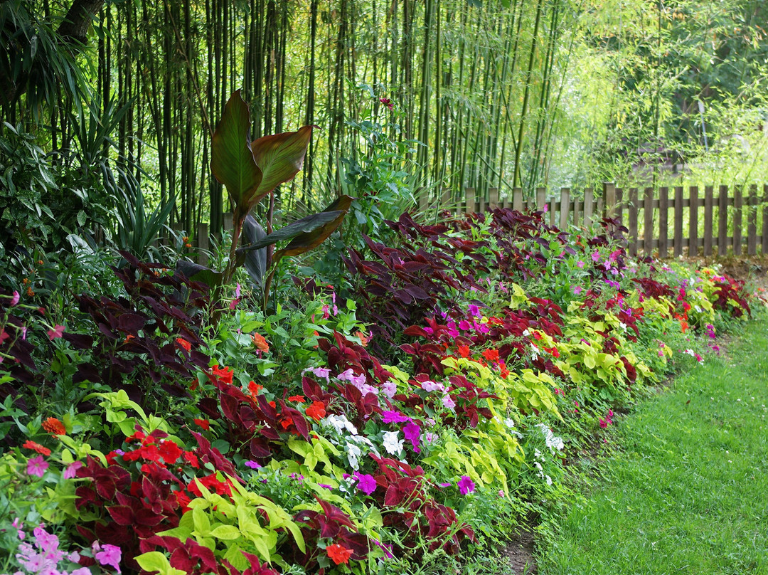Le Jardin des Plantes景点图片