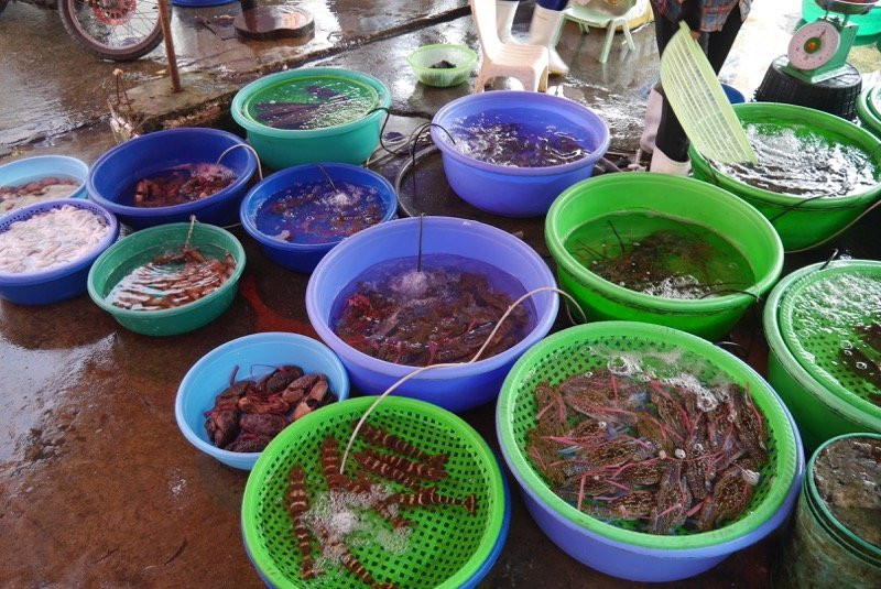 Ha Long Market-Ha Long City必去景点