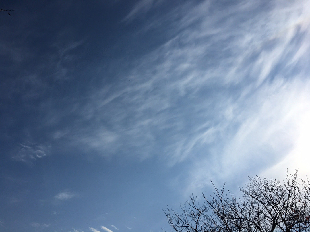 Hioka Shrine-加古川市必去景点