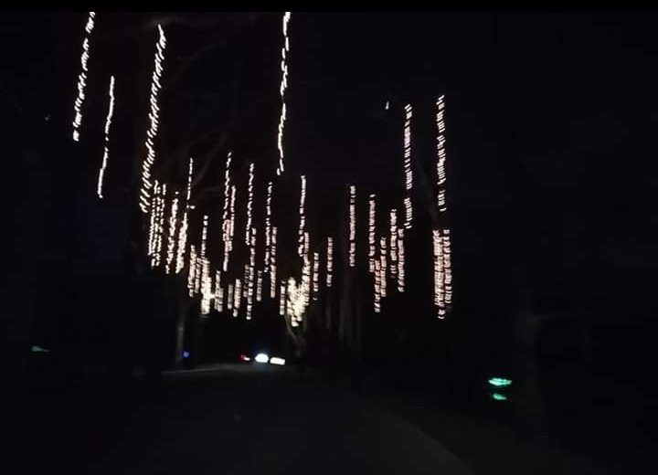 Lemon Park-Pratt必去景点