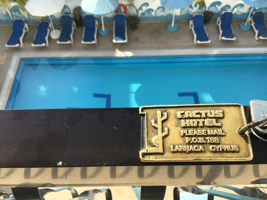 仙人掌酒店主图