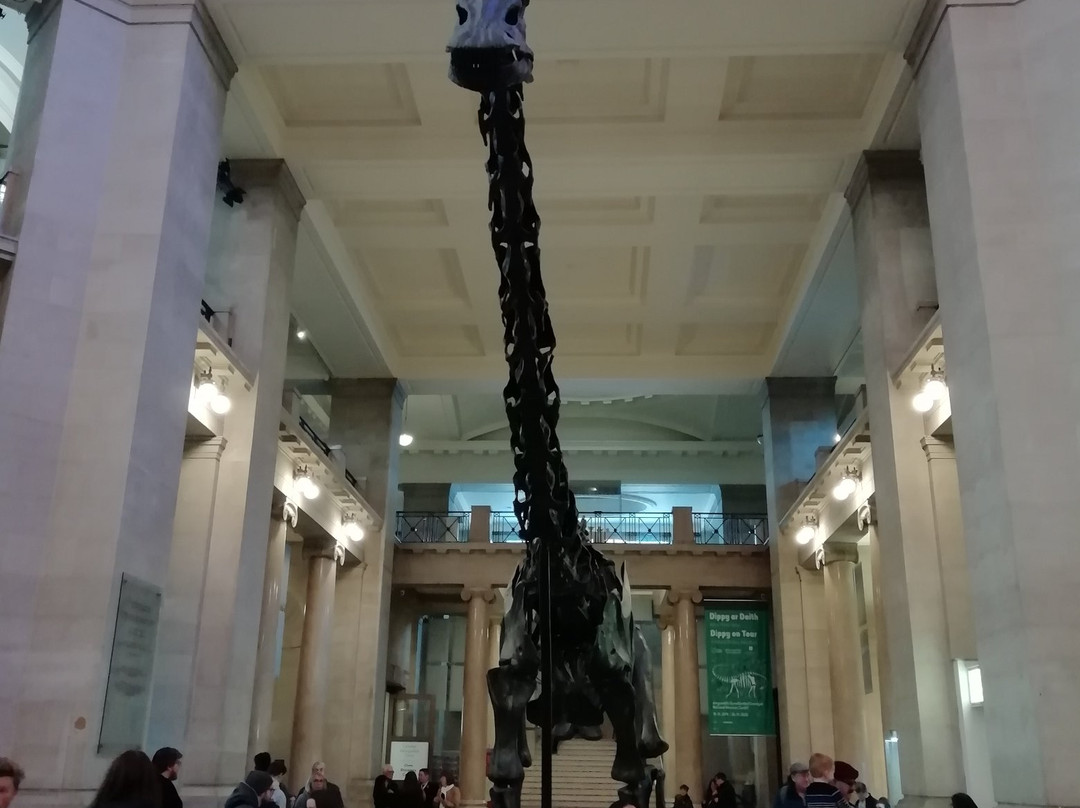 National Museum Cardiff-卡迪夫必去景点
