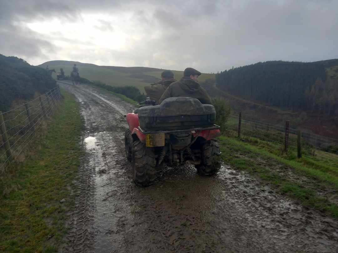Penbedw Estate -Rural retreats,tennis