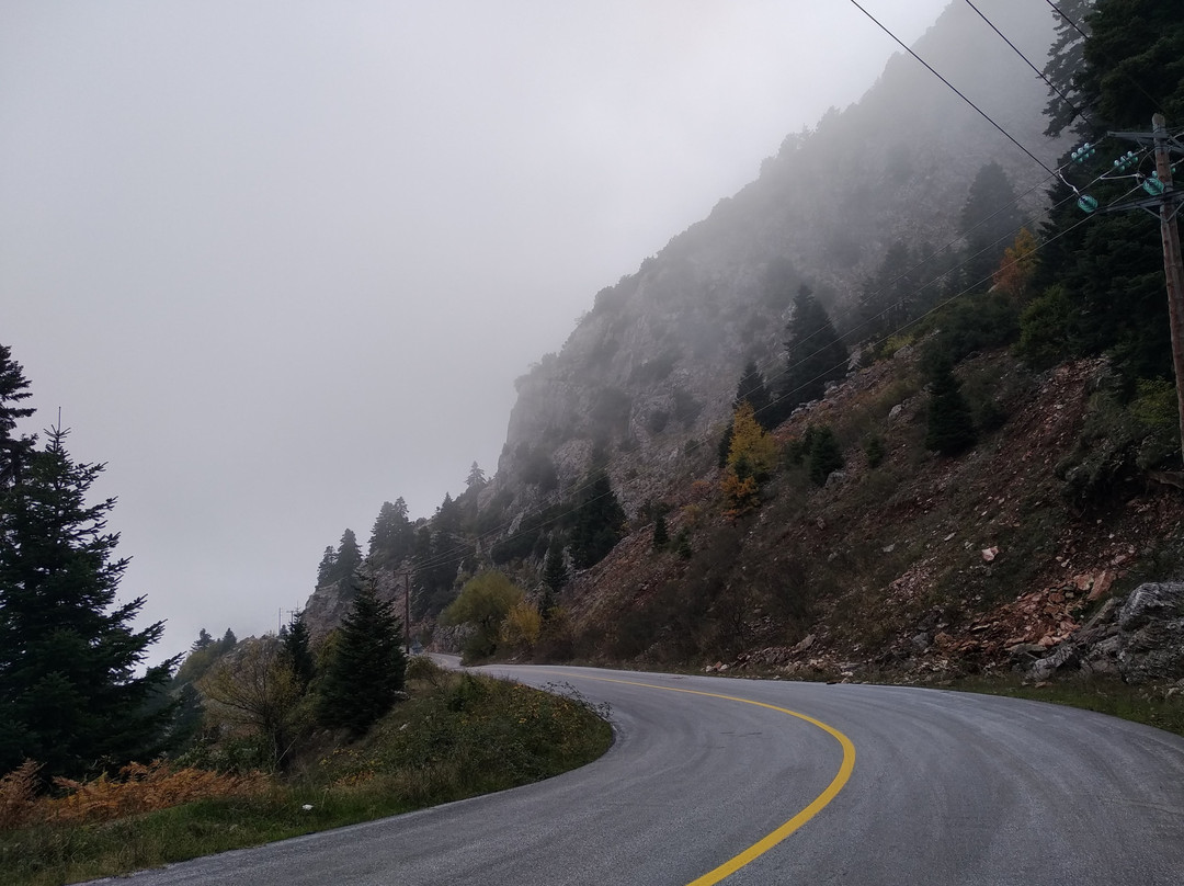 Hotel Koutsikouris主图