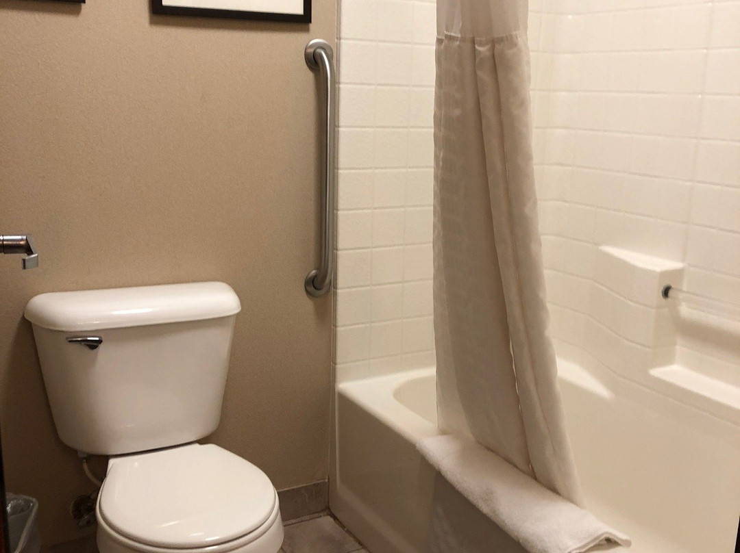 Comfort Inn & Suites主图