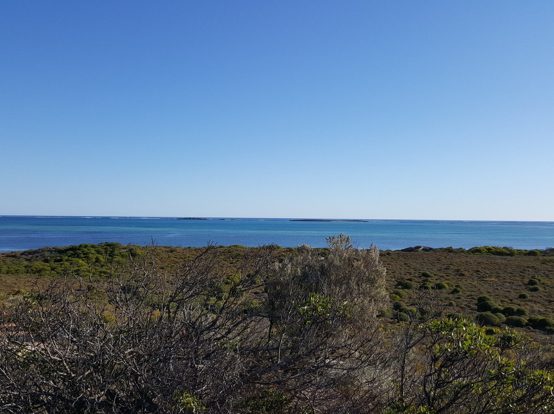 Hansen Bay Lookout景点图片