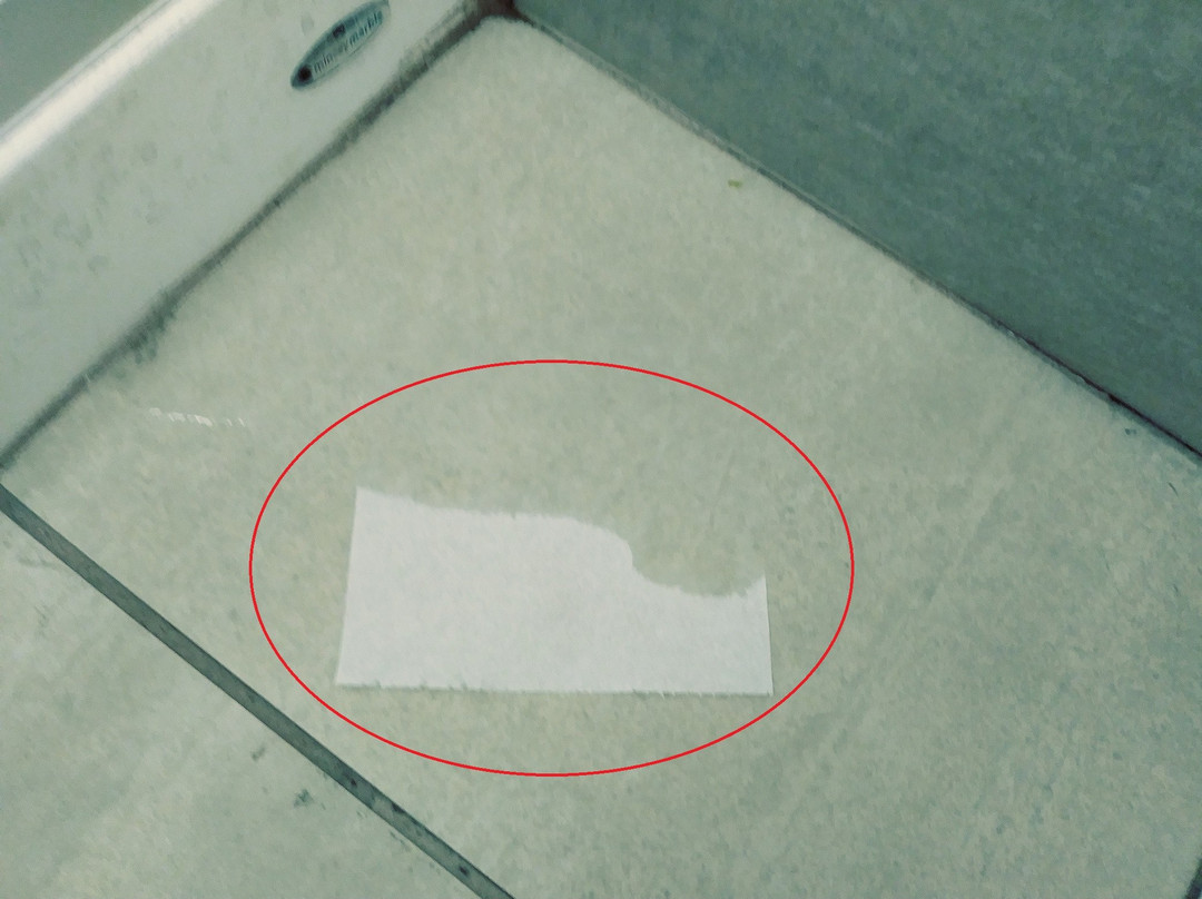 Holiday Inn Express & Suites Boston South - Randolph主图