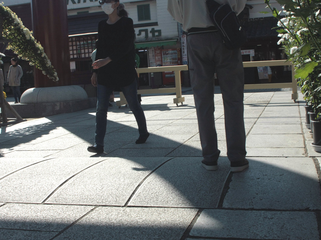 Kasama Chrysanthemum Festival-笠间市必去景点