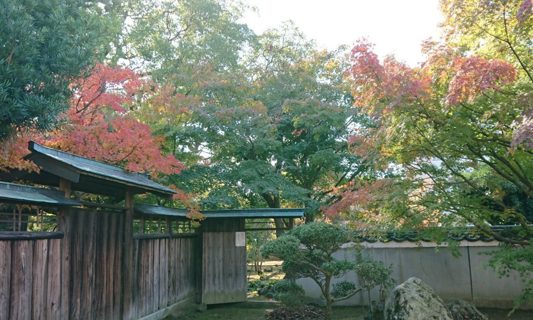 Maeda Residence景点图片