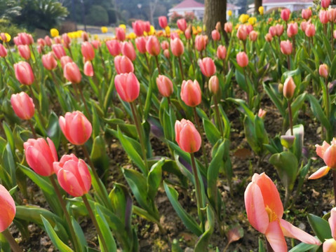 金山滨海公园-上海市必去景点