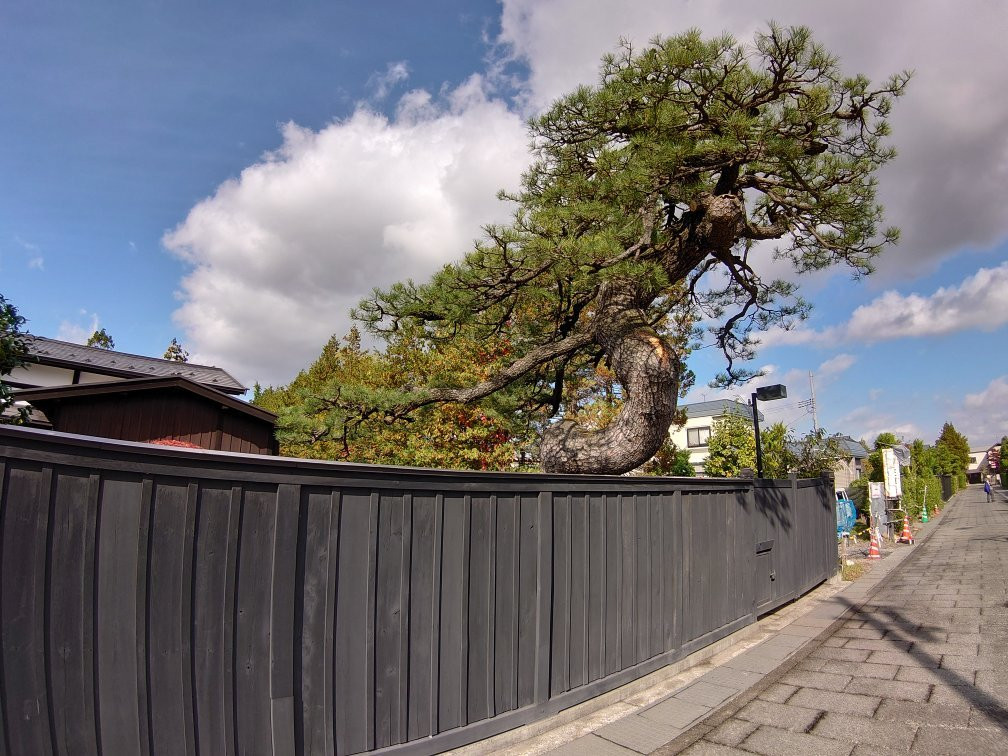 Former Ito Family Residence-弘前市必去景点