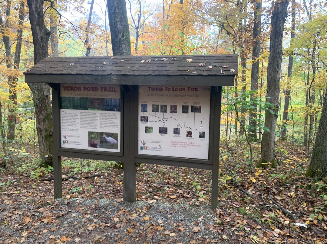 Heron Pond Preserve