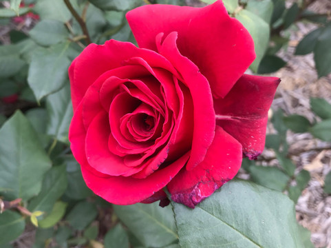 Heyfield War Memorial-Heyfield必去景点