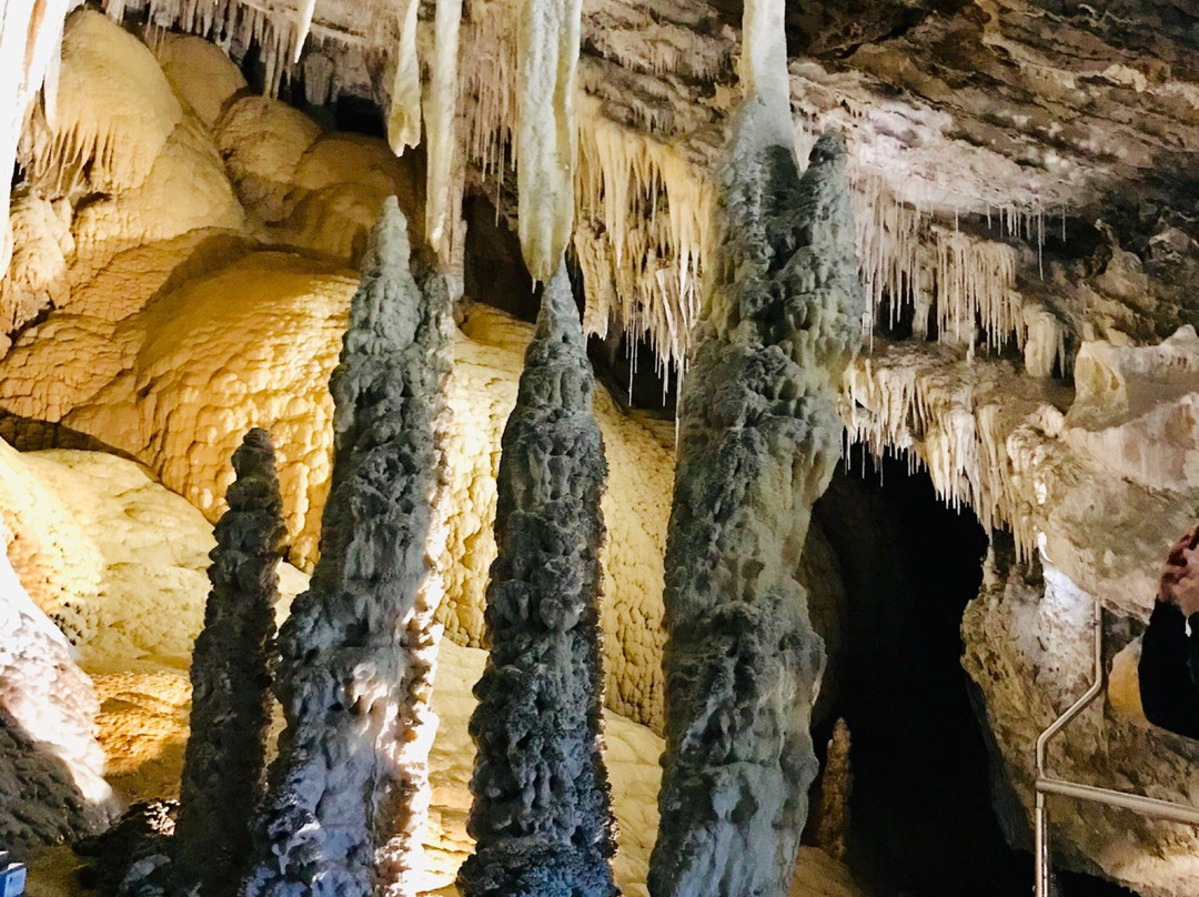 Marakoopa Cave景点图片