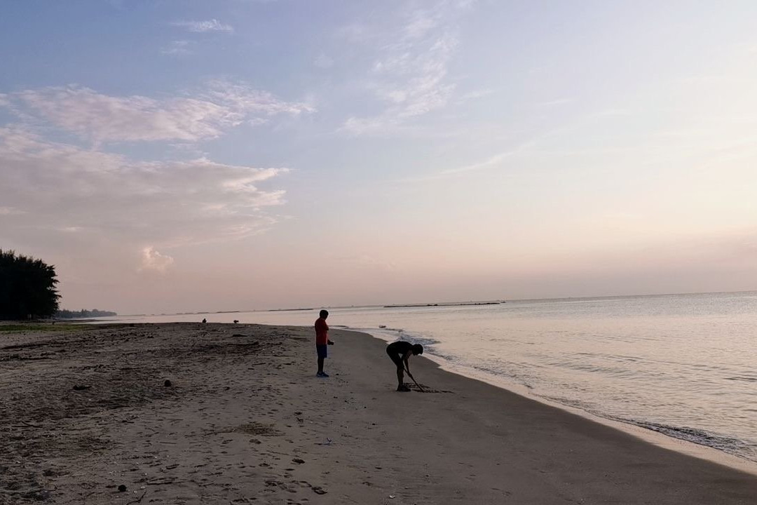 赵参兰海滨旅游攻略图片