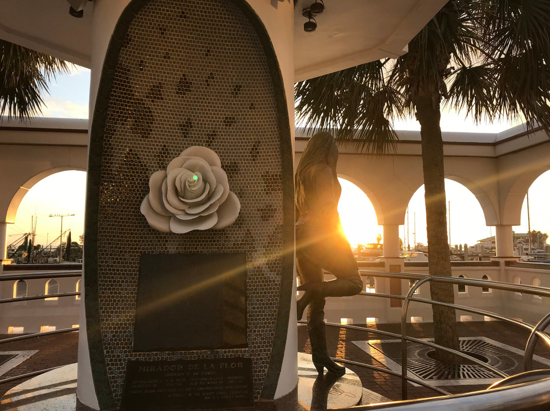 Selena Memorial-Mirador De La Flor景点图片