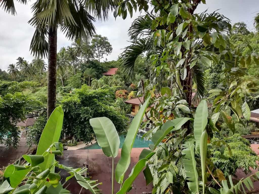 Kamayan sa Palaisdaan Resort主图