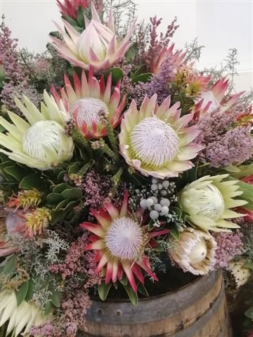 Fernkloof Nature Reserve-赫曼努斯必去景点