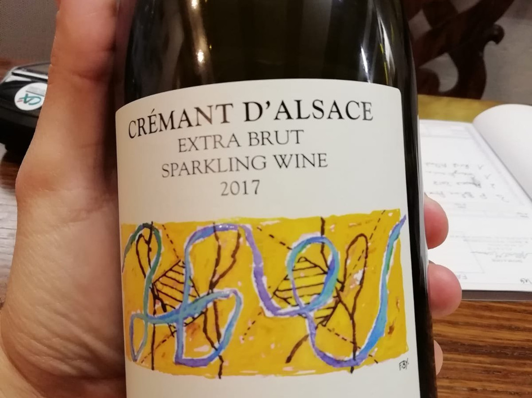 Domaine Albert Mann景点图片