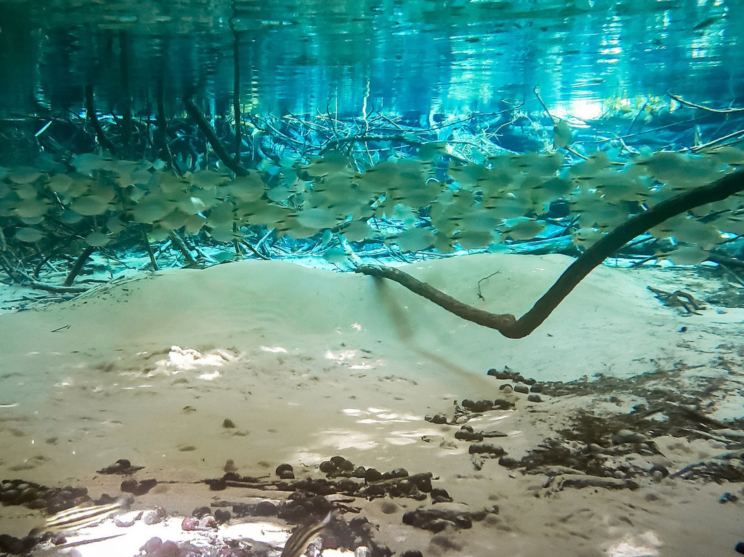 Pousada Reino Encantado主图