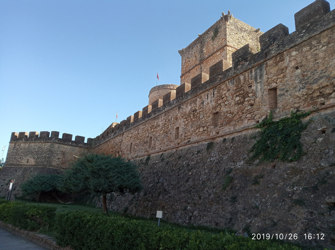 Castillo de Niebla景点图片