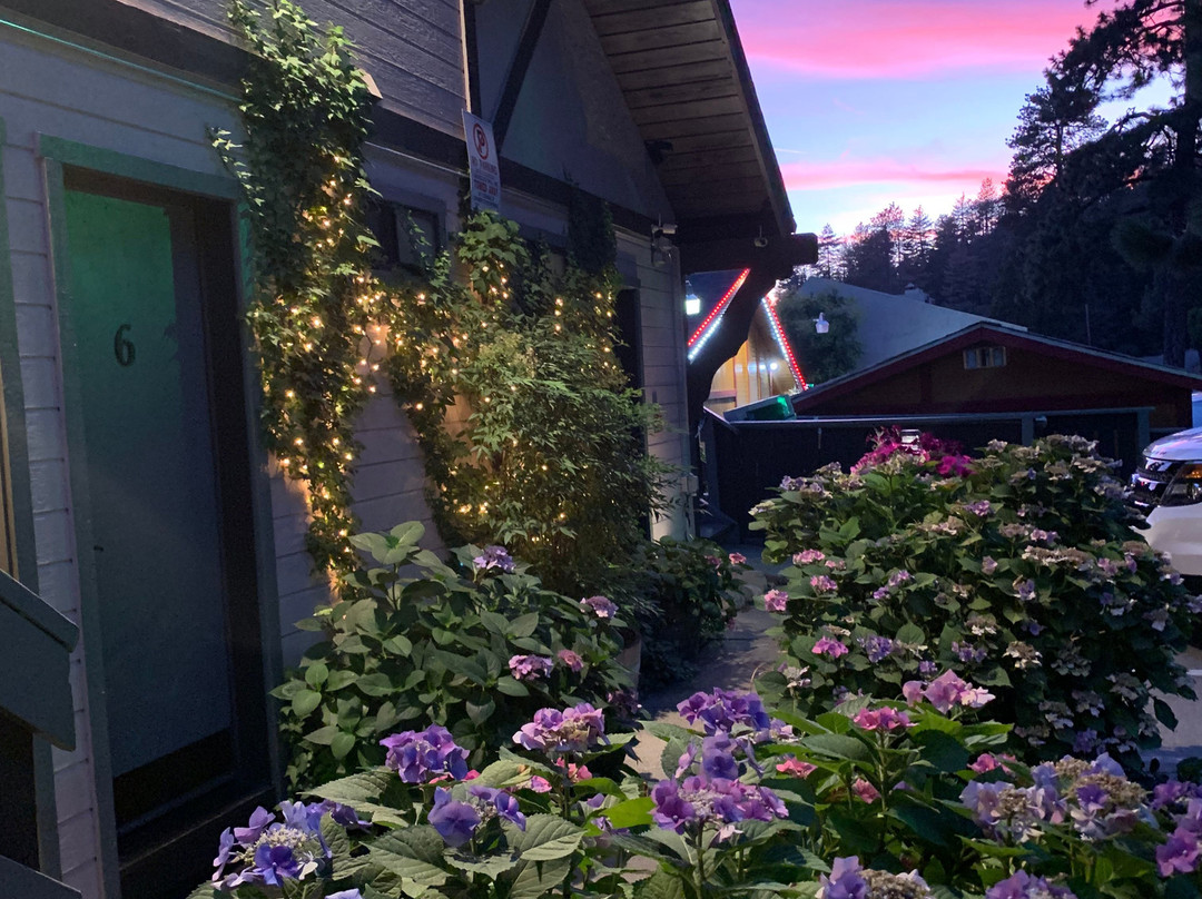 The North Shore Inn主图