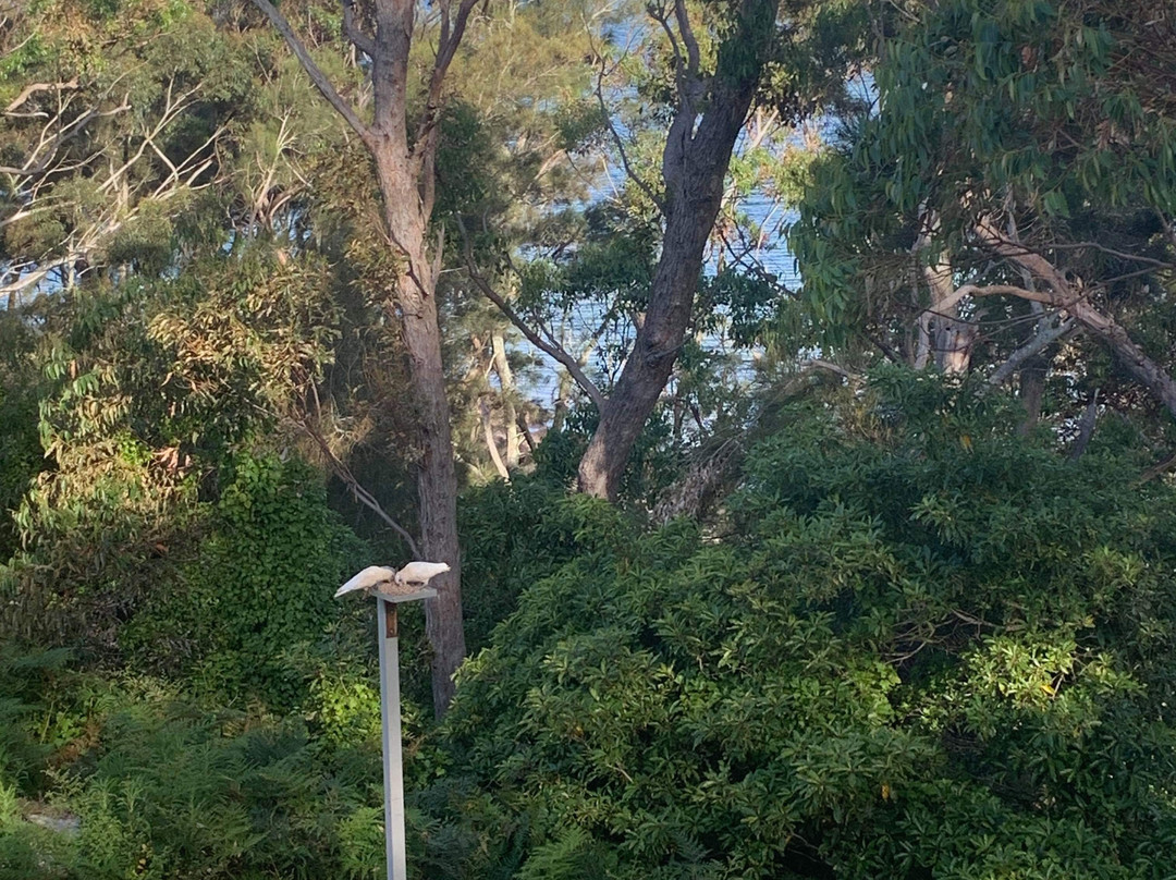 The Edgewater on Greville主图