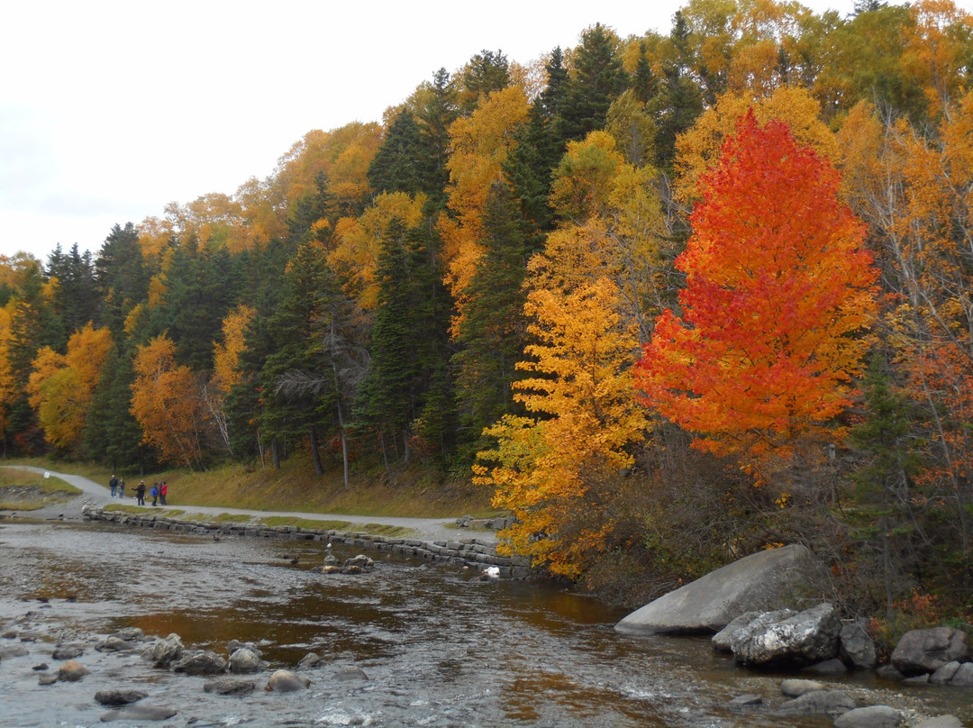 Corner Brook Stream Trail景点图片