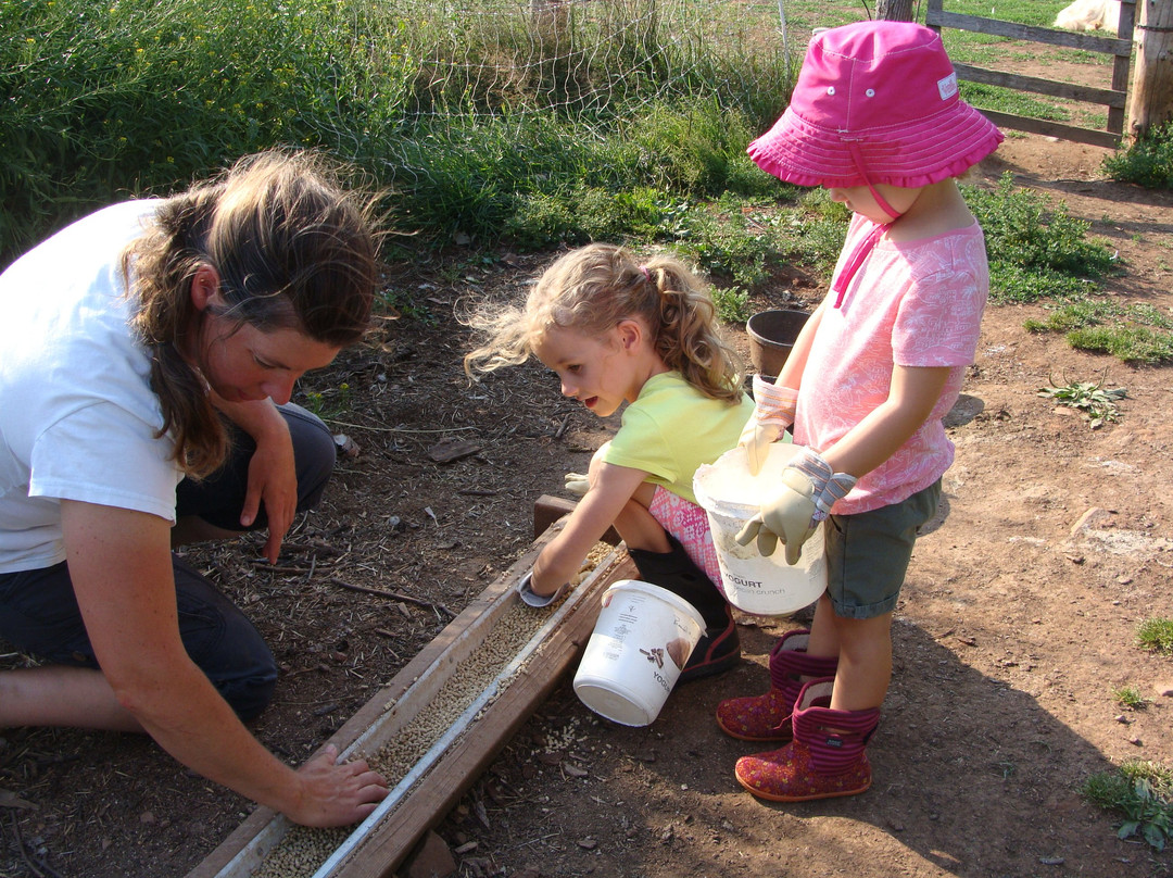 Experience PEI - Chore Time-Breadalbane必去景点