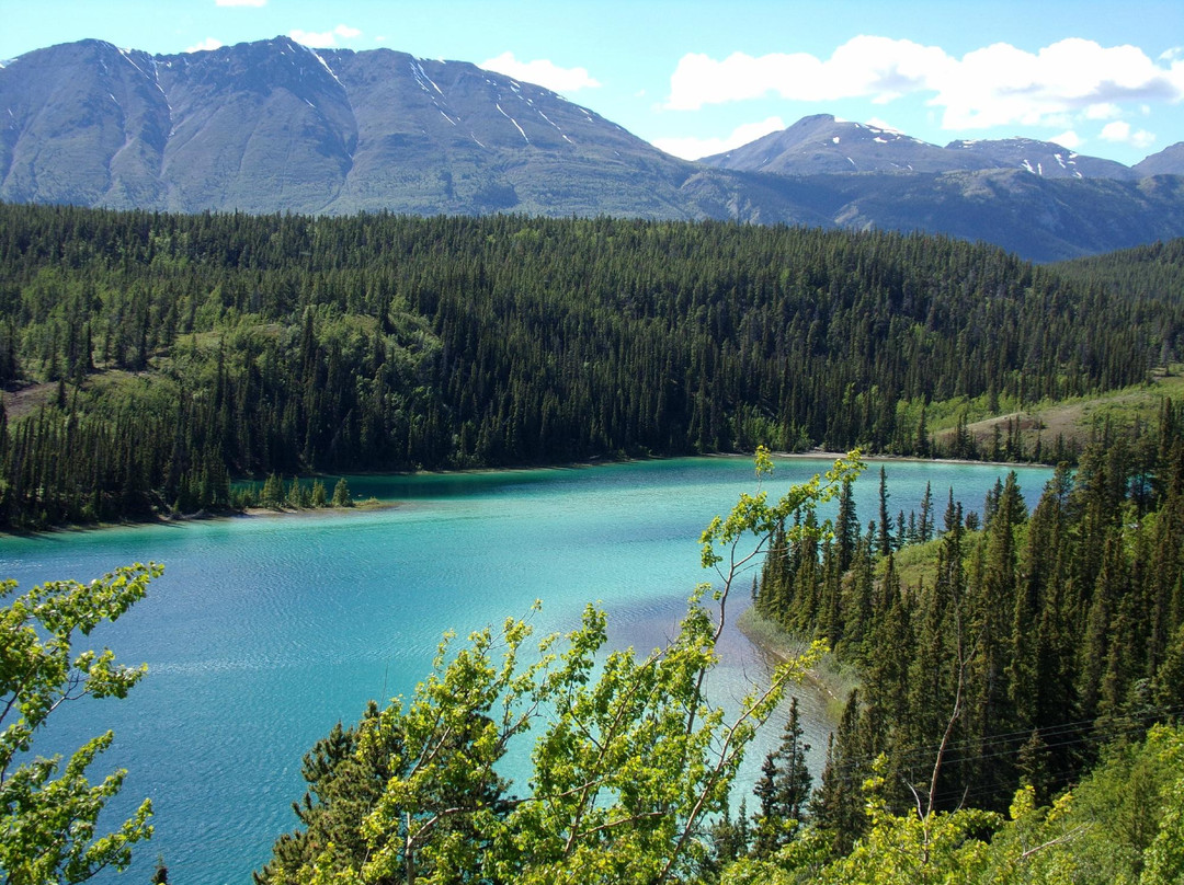 Carcross Visitor Information Center-Carcross必去景点